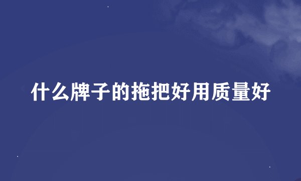什么牌子的拖把好用质量好