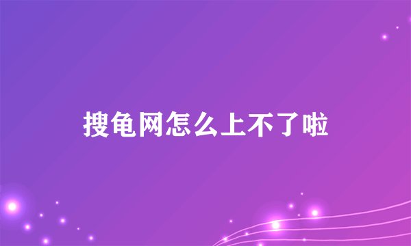 搜龟网怎么上不了啦