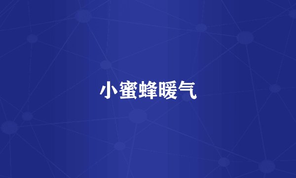 小蜜蜂暖气