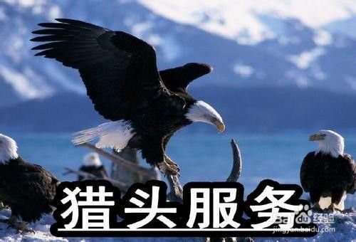 想去上海找工作，怎么办？