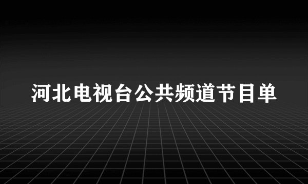 河北电视台公共频道节目单
