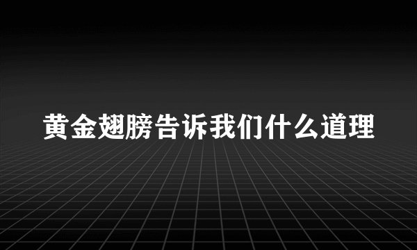 黄金翅膀告诉我们什么道理