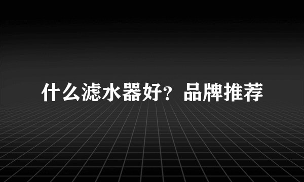 什么滤水器好？品牌推荐