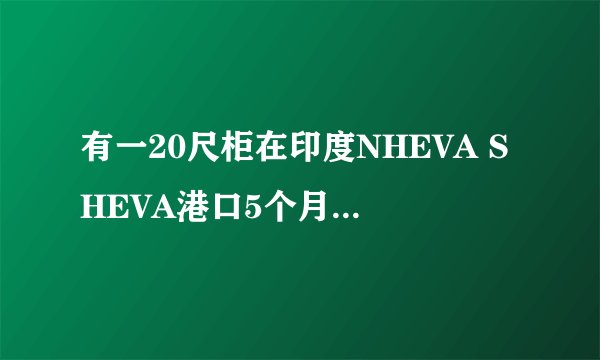 有一20尺柜在印度NHEVA SHEVA港口5个月，由于货被海关查了反倾销，客户没办法付余款提货，要求退运，求帮