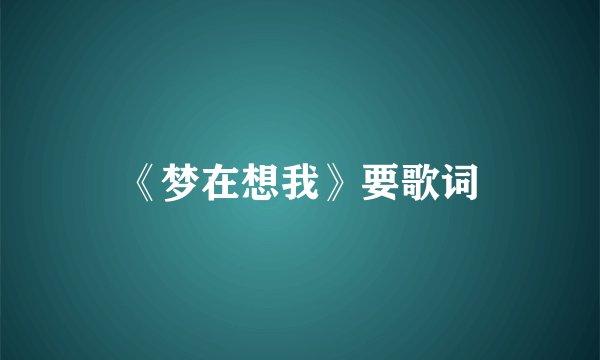 《梦在想我》要歌词