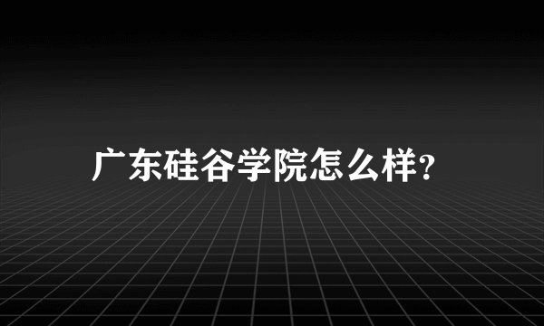 广东硅谷学院怎么样？