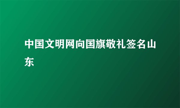中国文明网向国旗敬礼签名山东