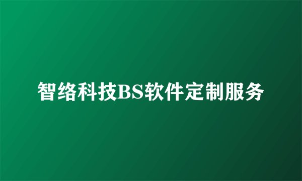 智络科技BS软件定制服务
