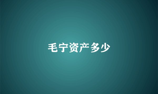 毛宁资产多少