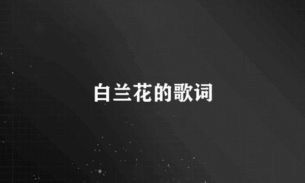 白兰花的歌词