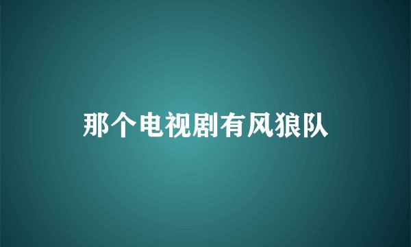 那个电视剧有风狼队