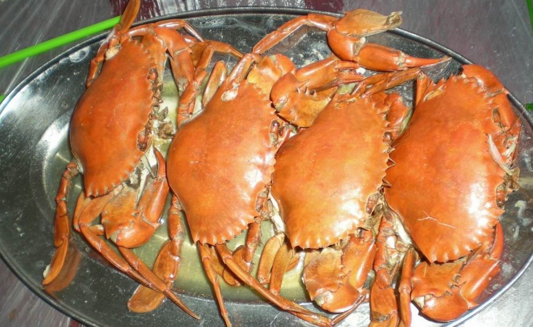 面包蟹的做法