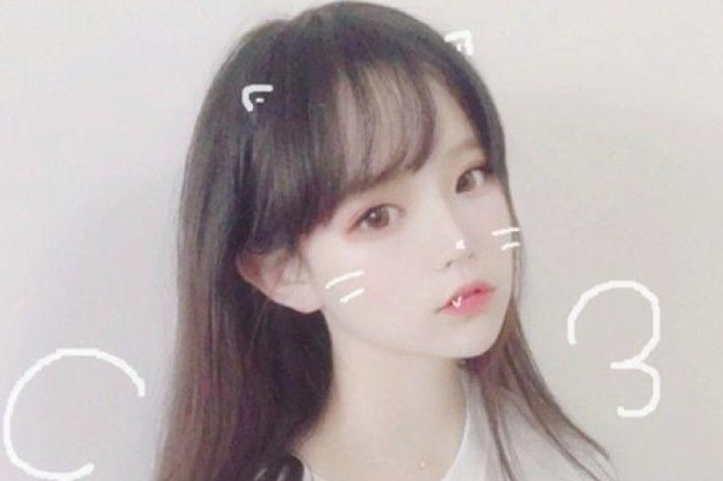 清新淡雅的网名。