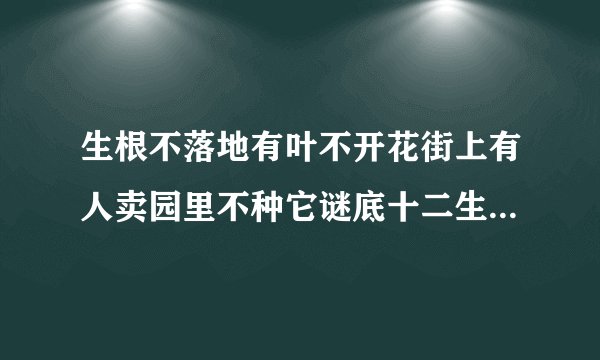 生根不落地有叶不开花街上有人卖园里不种它谜底十二生肖是什么