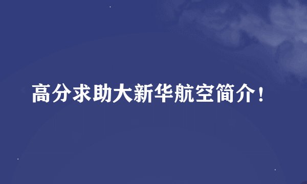 高分求助大新华航空简介！