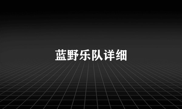 蓝野乐队详细