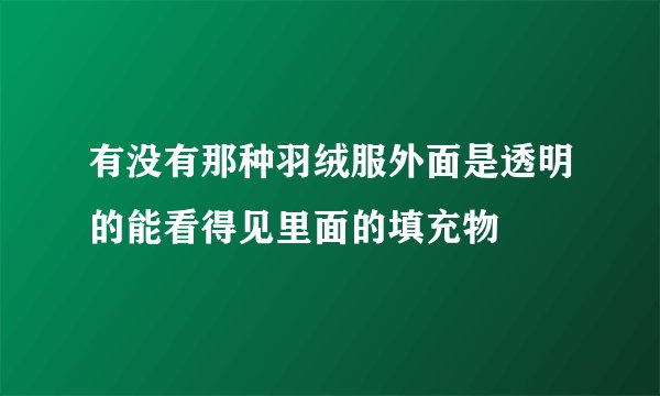 有没有那种羽绒服外面是透明的能看得见里面的填充物