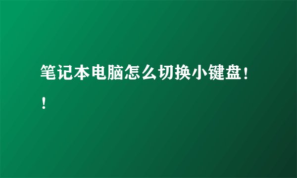 笔记本电脑怎么切换小键盘！！