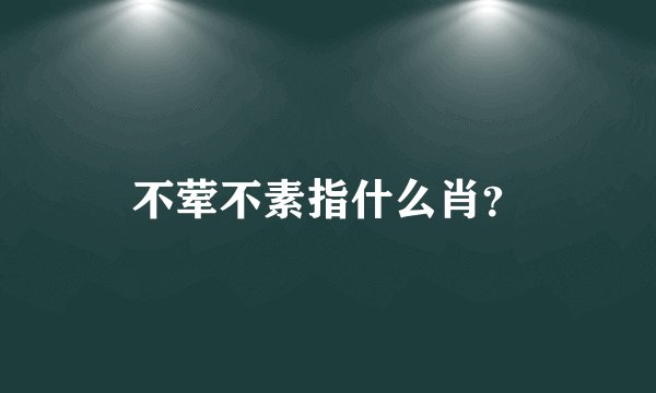 不荤不素指什么肖？