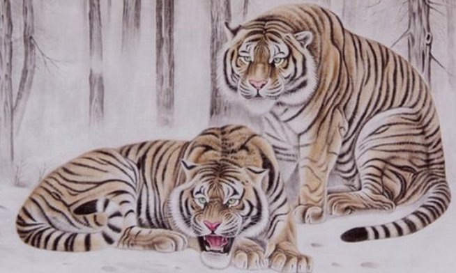 属虎的人的性格是怎样的