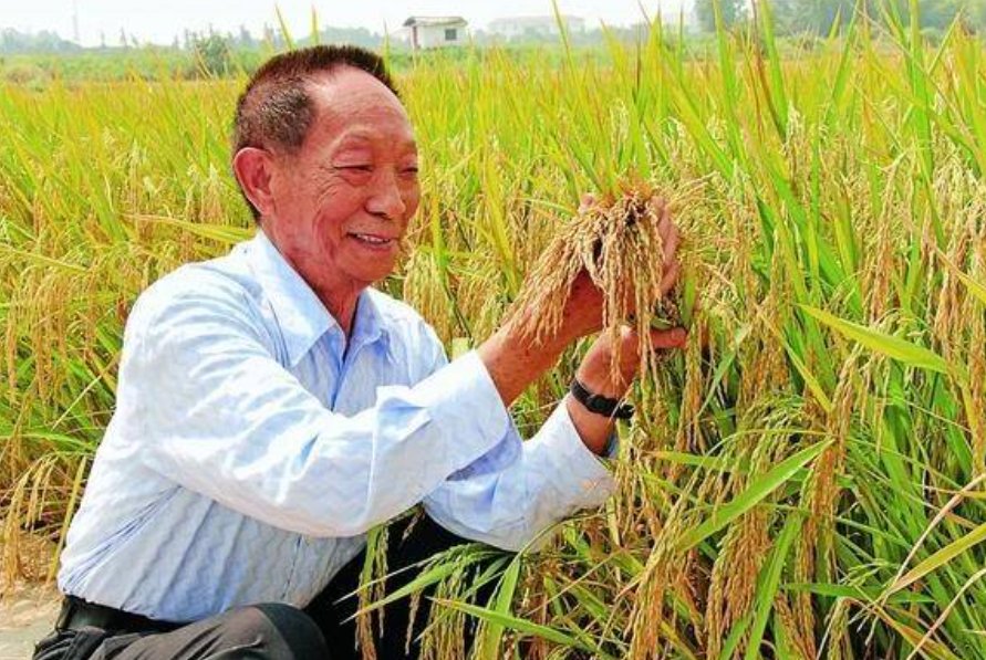 袁隆平曾用8个字勉励年轻人，你知道是哪8个字吗？