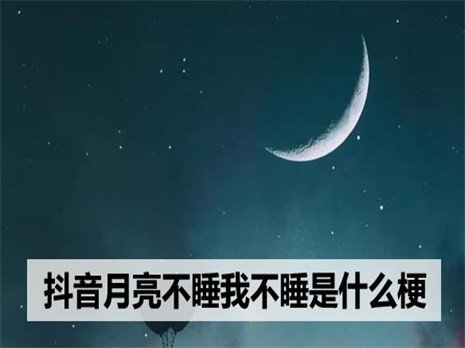 月亮不睡我不睡的下一句是什么呢