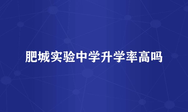 肥城实验中学升学率高吗