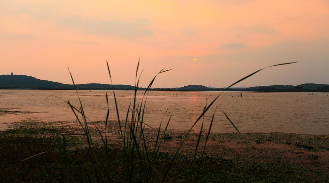 表达安静的网名有哪些？