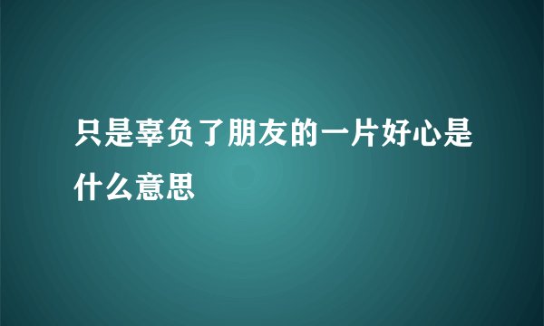 只是辜负了朋友的一片好心是什么意思