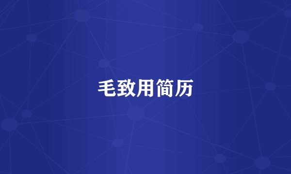 毛致用简历