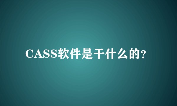 CASS软件是干什么的？