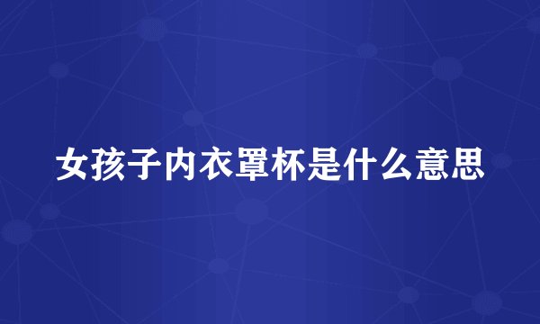 女孩子内衣罩杯是什么意思