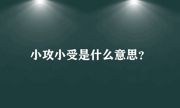 小攻小受是什么意思？