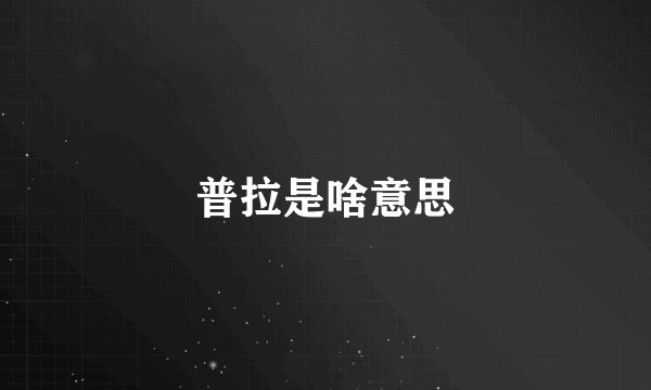 普拉是啥意思