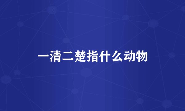一清二楚指什么动物
