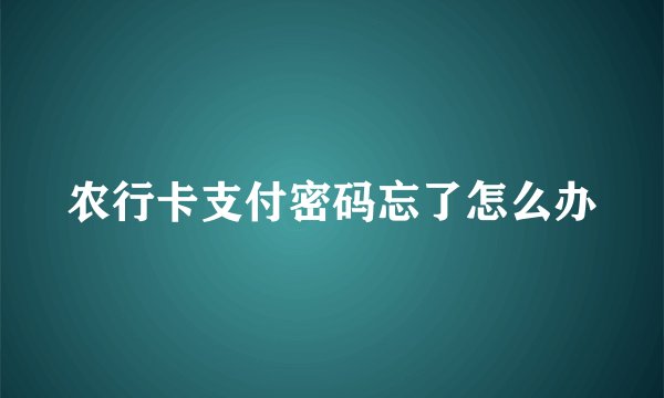 农行卡支付密码忘了怎么办