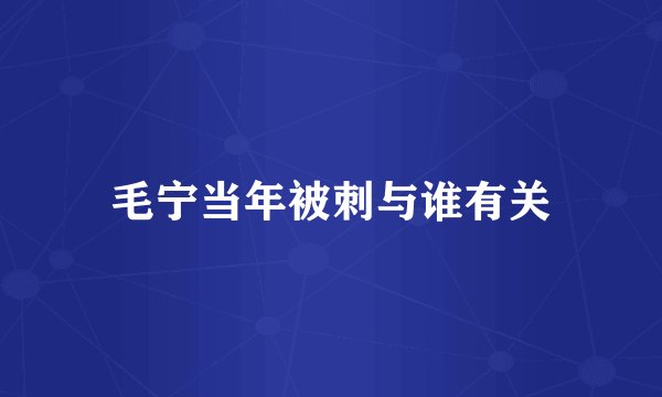 毛宁当年被刺与谁有关