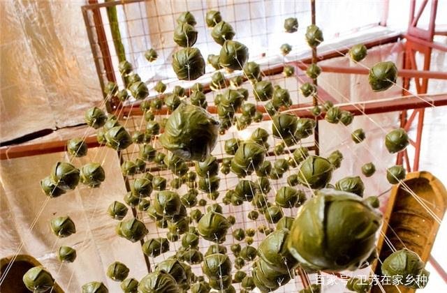老挝万象哪个景点最好玩？