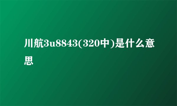 川航3u8843(320中)是什么意思