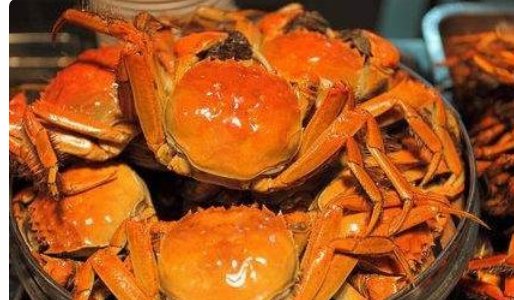 活的河蟹可以直接放冷冻吗