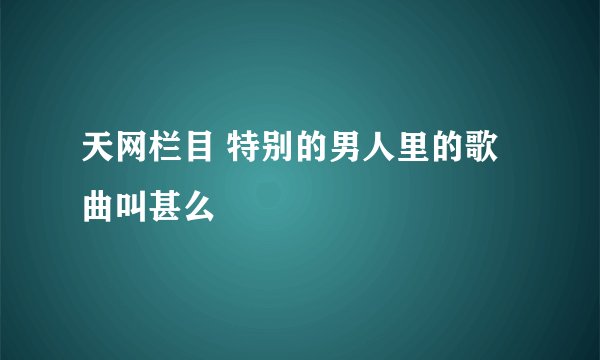 天网栏目 特别的男人里的歌曲叫甚么