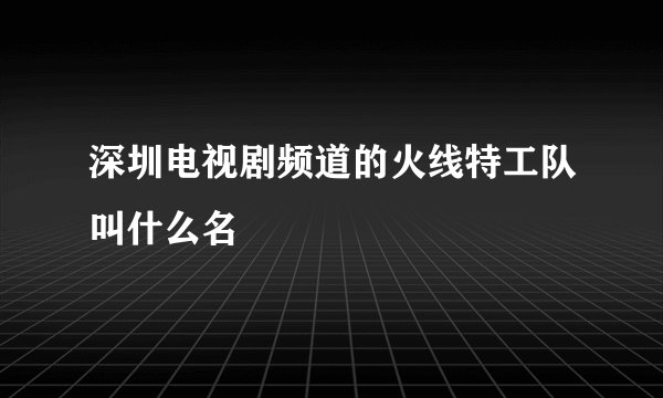 深圳电视剧频道的火线特工队叫什么名