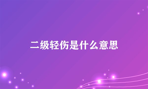 二级轻伤是什么意思