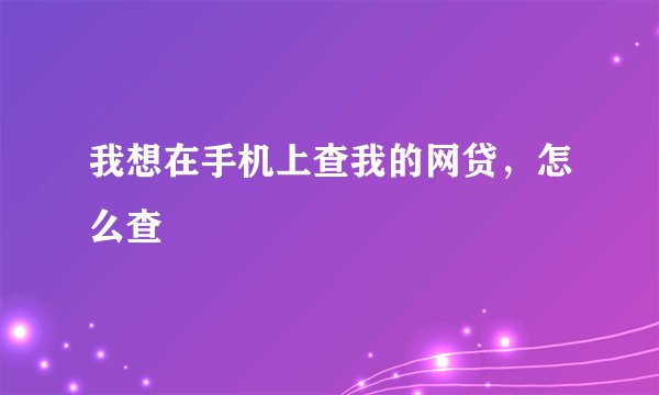 我想在手机上查我的网贷，怎么查