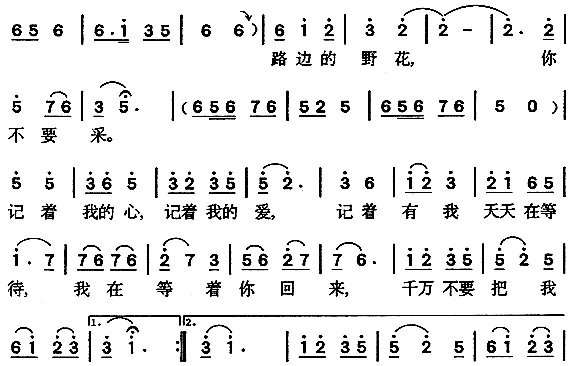 东北二人转《路边的野花不要采》的全部歌词。