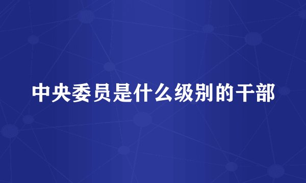 中央委员是什么级别的干部