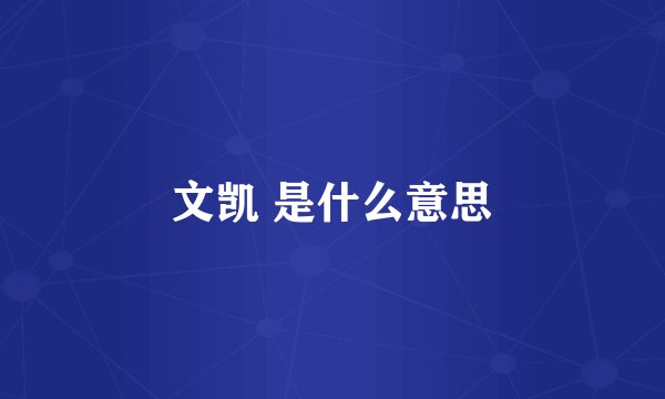 文凯 是什么意思
