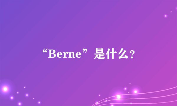 “Berne”是什么？