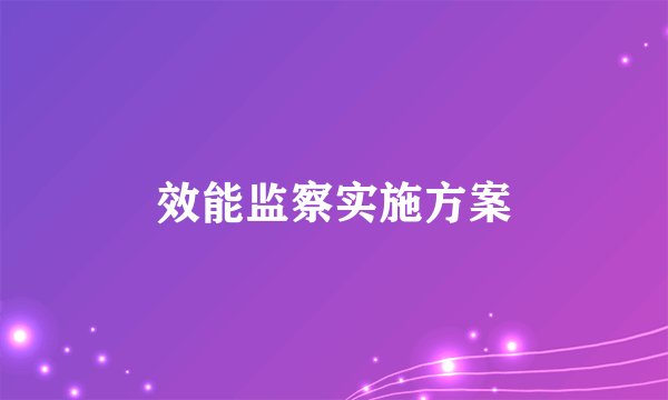 效能监察实施方案