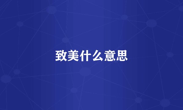 致美什么意思